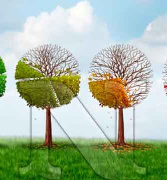Como afecta el cambio climático al ser humano
