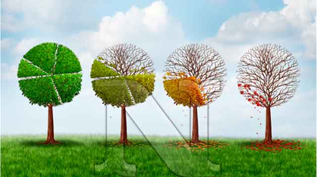 Como afecta el cambio climático al ser humano