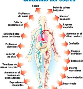 Como afecte el estrés al cuerpo