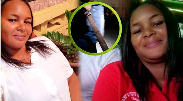 La Maestra Ani Luz Toribio Gómez