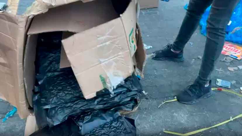 Dentro de la caja de cartón