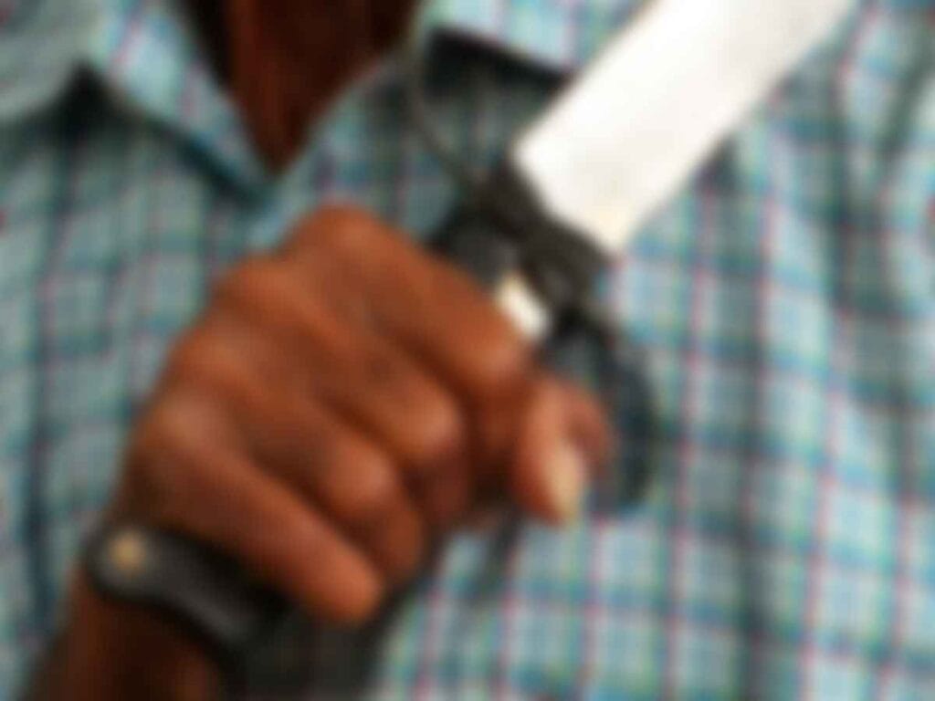 Eva Zepeda, de 49 años asesinada por su pareja a machetazos