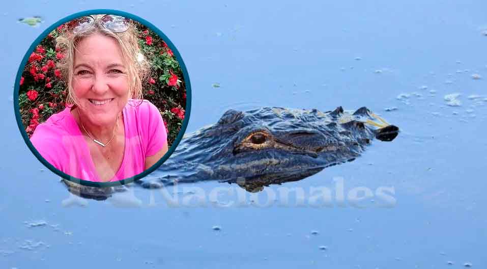 Caimán devora a mujer de 61 años en el Parque Estatal del Lago Kissimmee USA