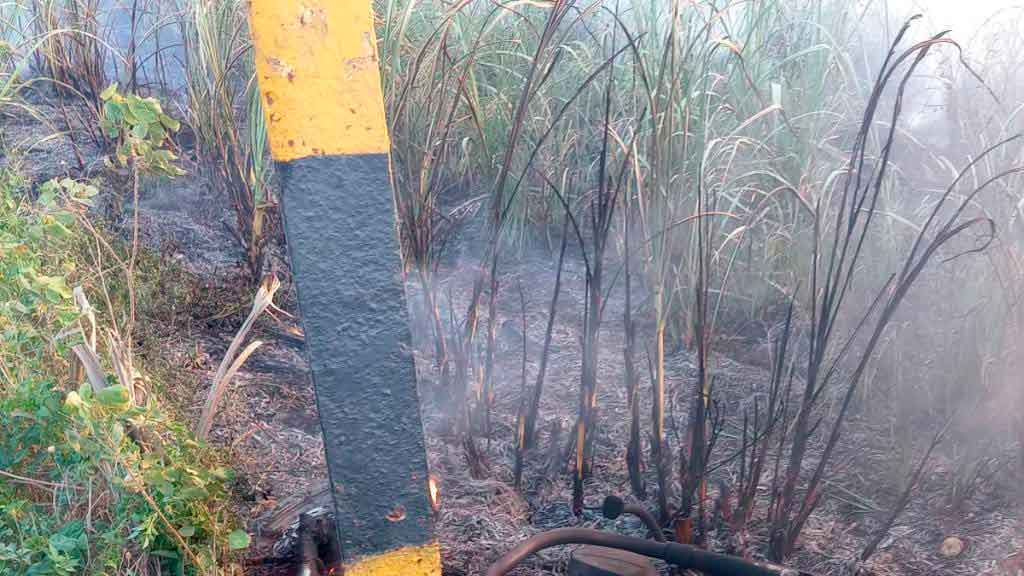 La víctima fue identificada como Yiset Clud, de 42 años