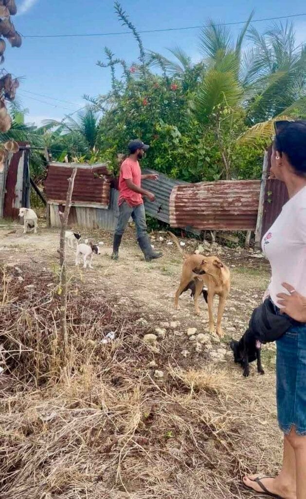 La tarde de este martes fue reportado el hallazgo de un cuerpo en avanzado estado de descomposición