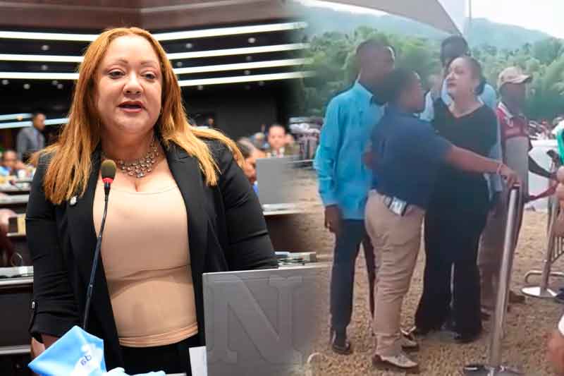 Incidente entre diputada Fiordaliza Estévez y miembro de seguridad presidencial genera controversia