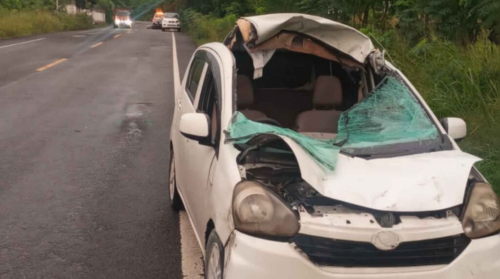 Tres extranjeros resultan heridos tras chocar con un caballo en la carretera Hato Mayor–El Seibo