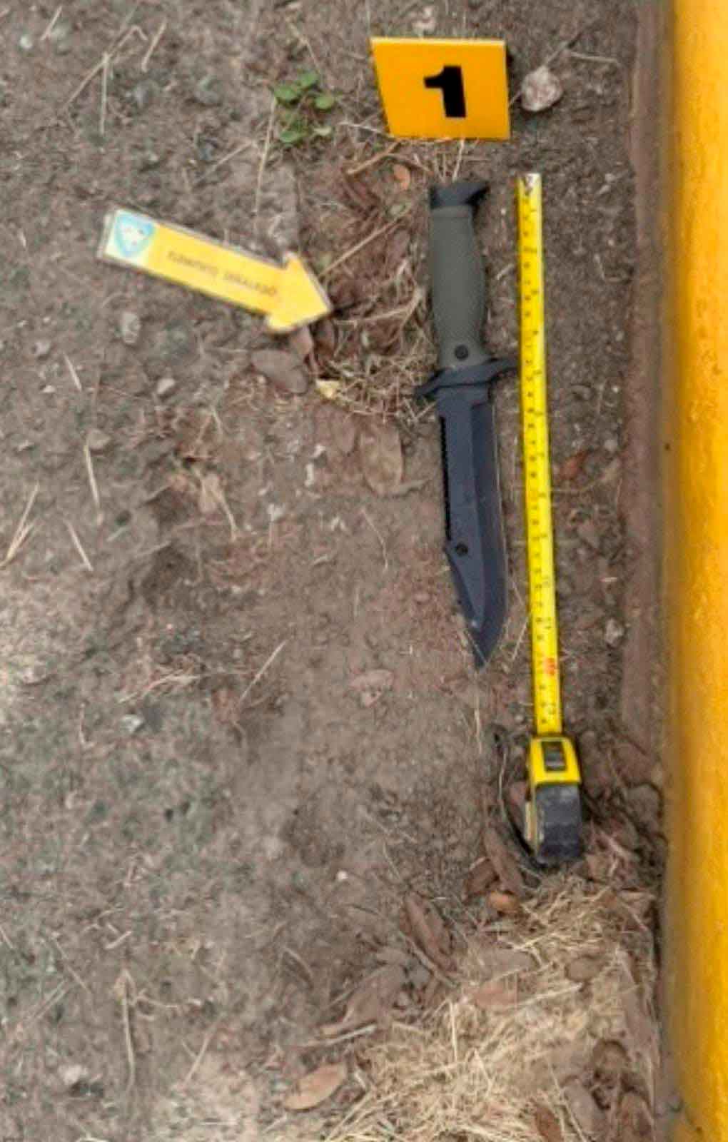 Caso de David Carlos Abreu