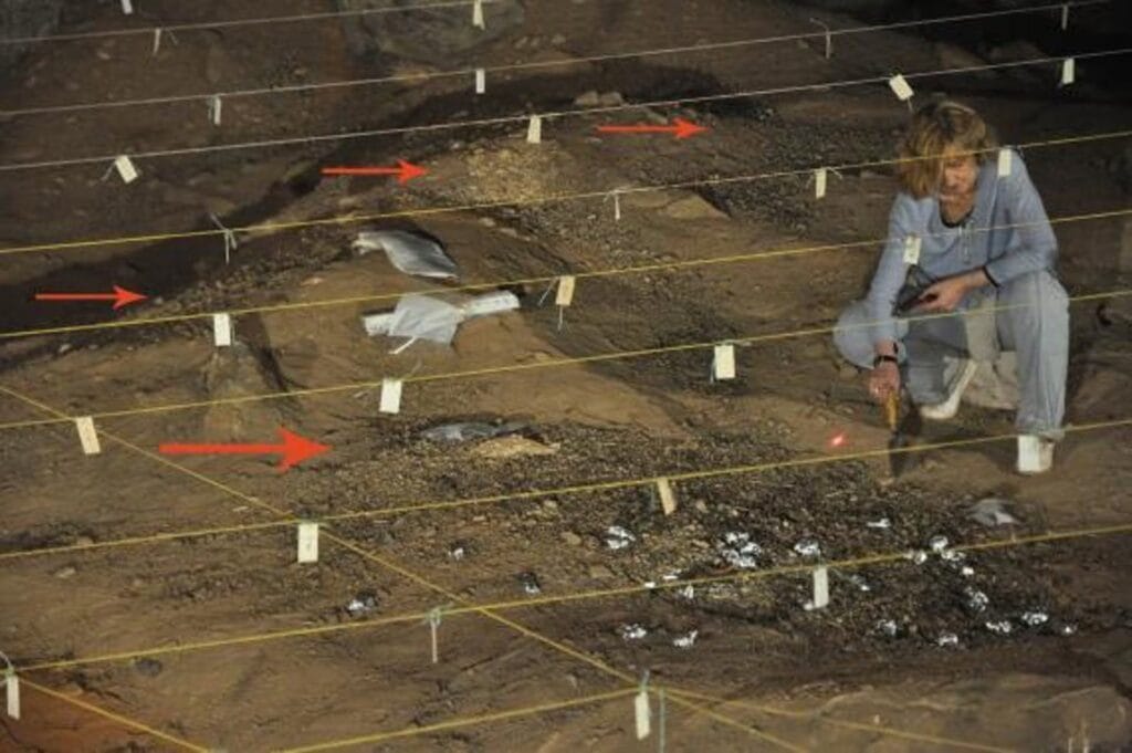 Homo erectus usó fuego en cueva sudafricana hace más de 1 millón de años: nuevo estudio