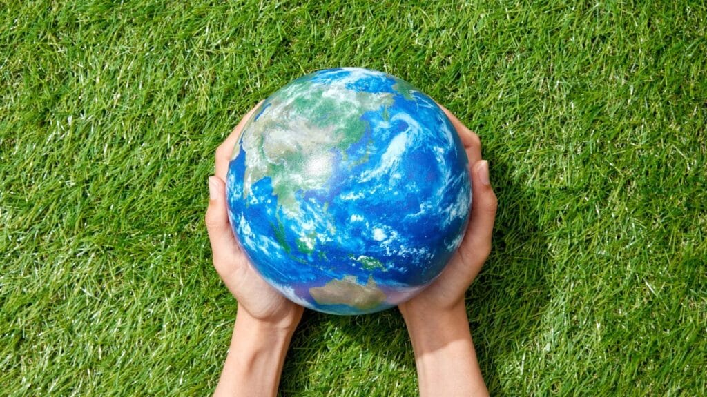 ¡A cuidar el ecosistema! Día Mundial del Medio Ambiente