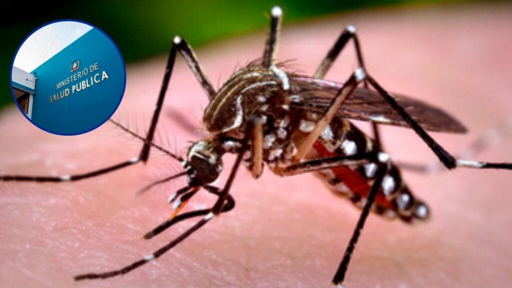 Reportan 10 nuevos casos de dengue en RD