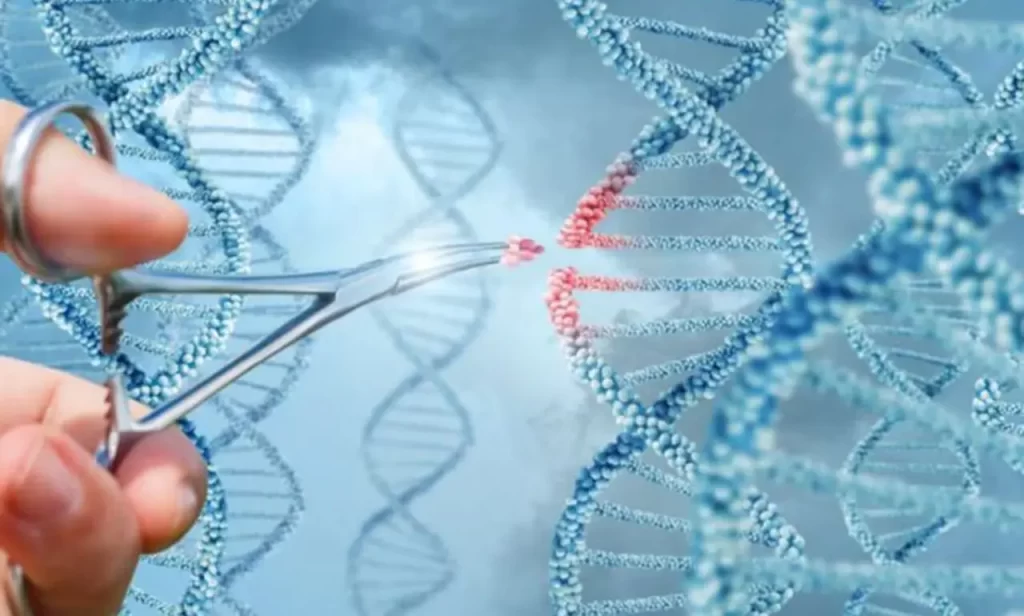 Científicos logran edición genética de alta precisión en embriones humanos