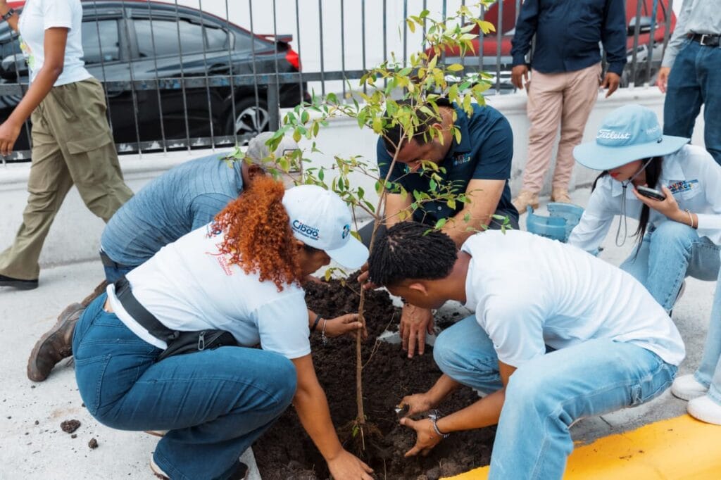Alcaldía del DN celebra Día Mundial del Medio Ambiente con jornada en Güibia