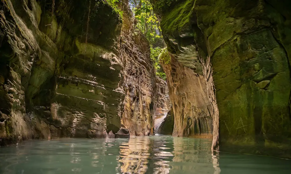 Medio Ambiente llama a reconocer el valor de la naturaleza
