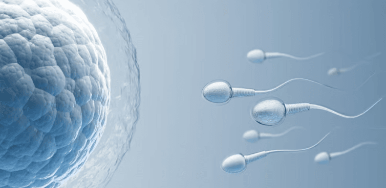 Fertilidad: señales de alerta y recomendaciones para su cuidado