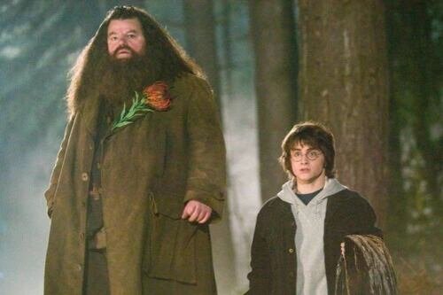 Nick Frost sabe que igualar a Robbie Coltrane como Hagrid será casi inalcanzable