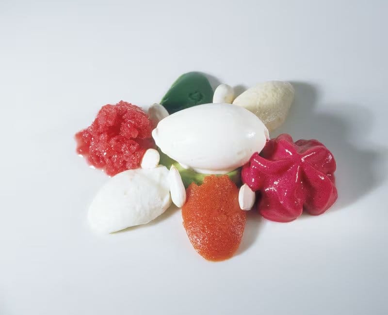 La menestra de verduras en texturas, icono de la cocina t&eacute;cnico-conceptual de El Bulli (elBulli Foundation)