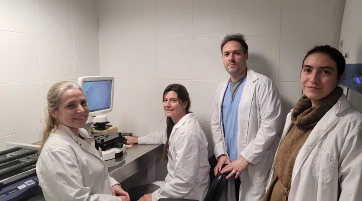 La técnica innovadora fue desarrollada por equipos del CONICET y CEMIC en Argentina (CONICET)