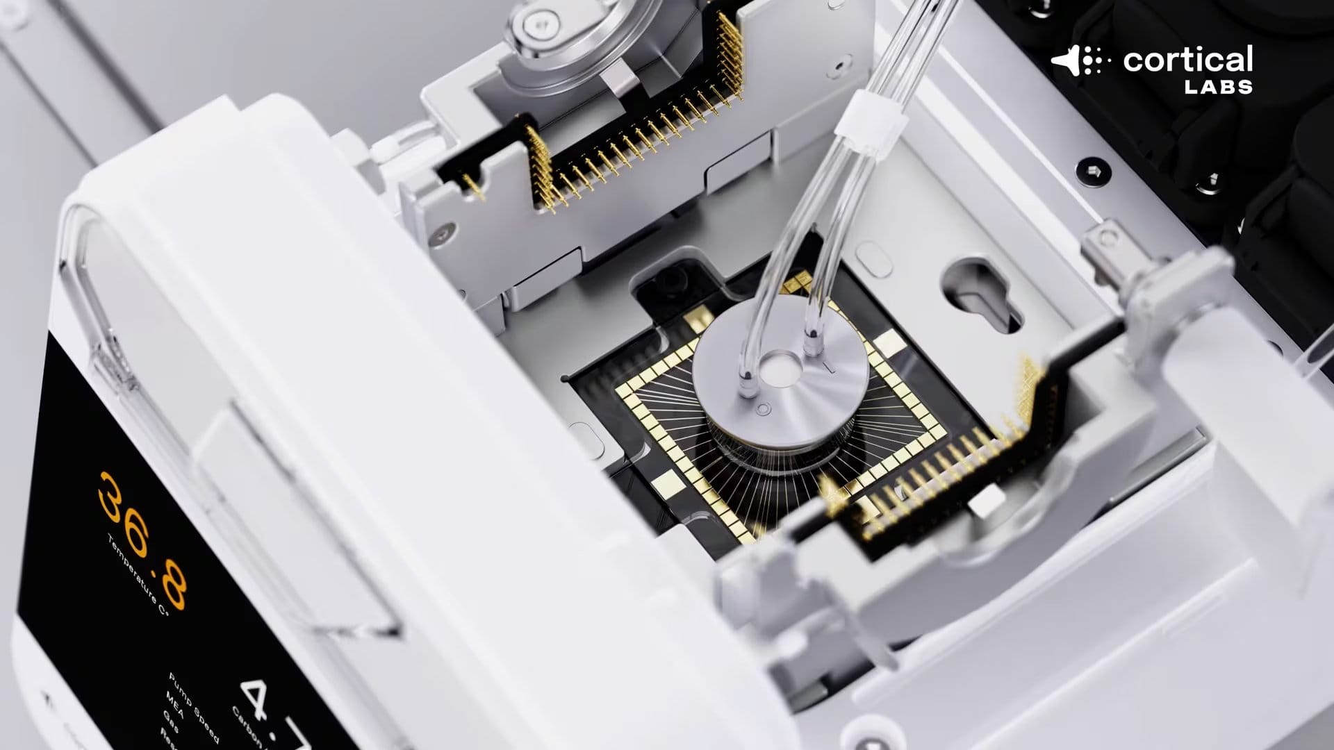 El sistema traduce el entorno digital en est&iacute;mulos el&eacute;ctricos comprensibles para las neuronas. (Captura/Cortical Labs)