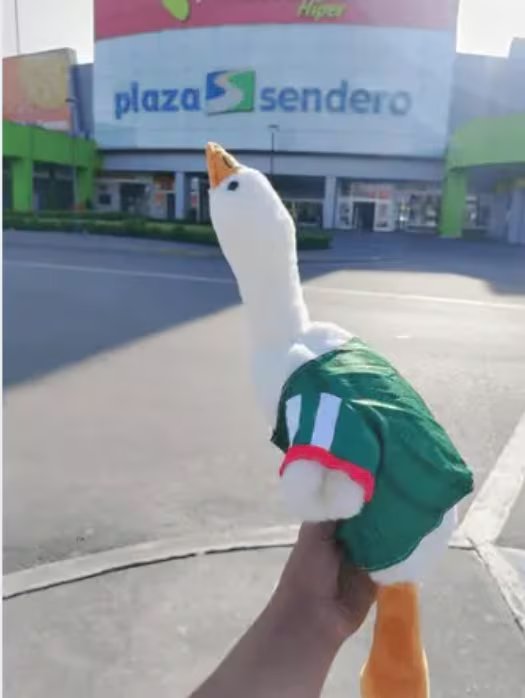 La página de facebook IZCALLI CUAUHTÉMOC LOS IZCALLIS “METEPEC” ya los tiene en venta (Redes Sociales)