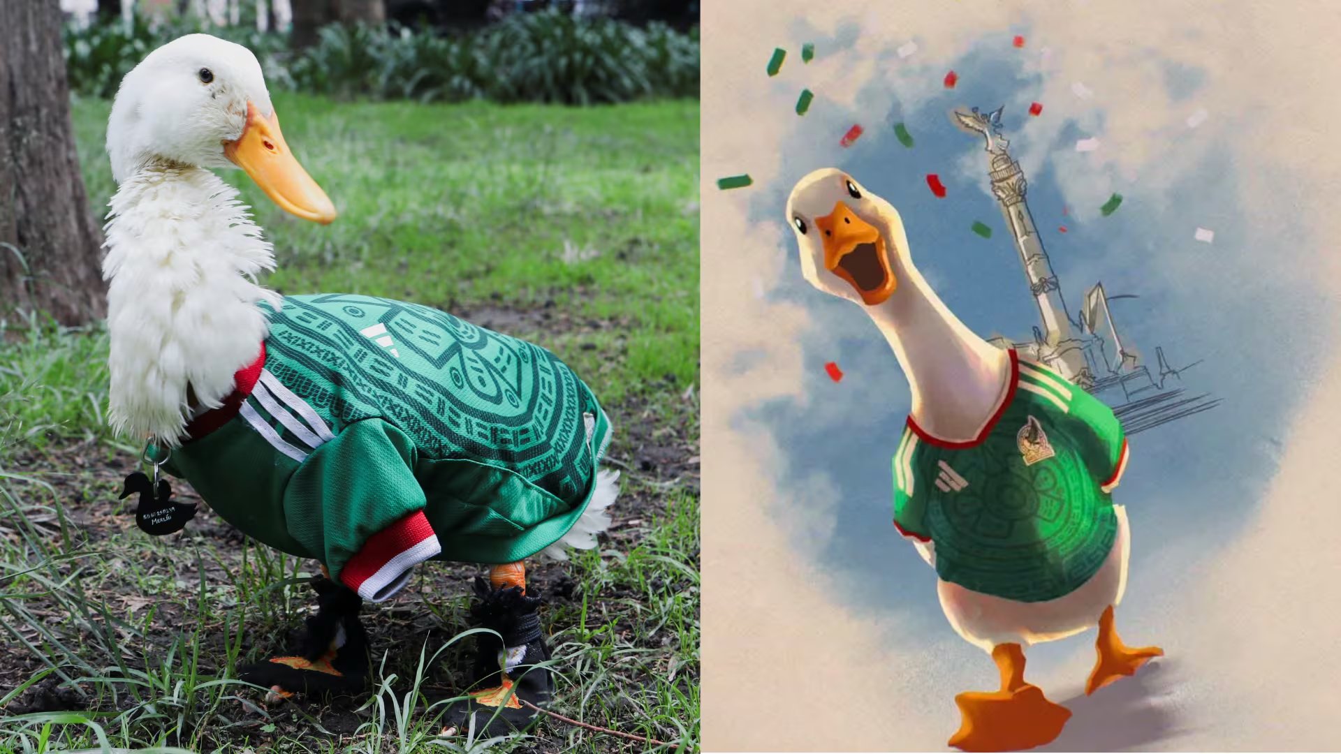 Redes sociales