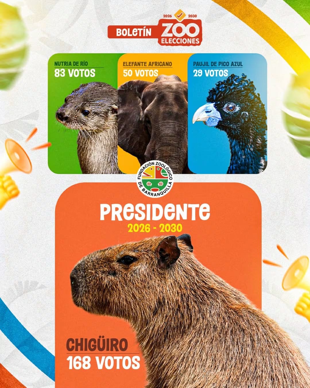 El escrutinio final registr&oacute; 331 votos, con el chig&uuml;iro en primer lugar, seguido por la nutria de r&iacute;o, el elefante africano y el paujil de pico azul. - cr&eacute;dito @zoobaq/Instagram