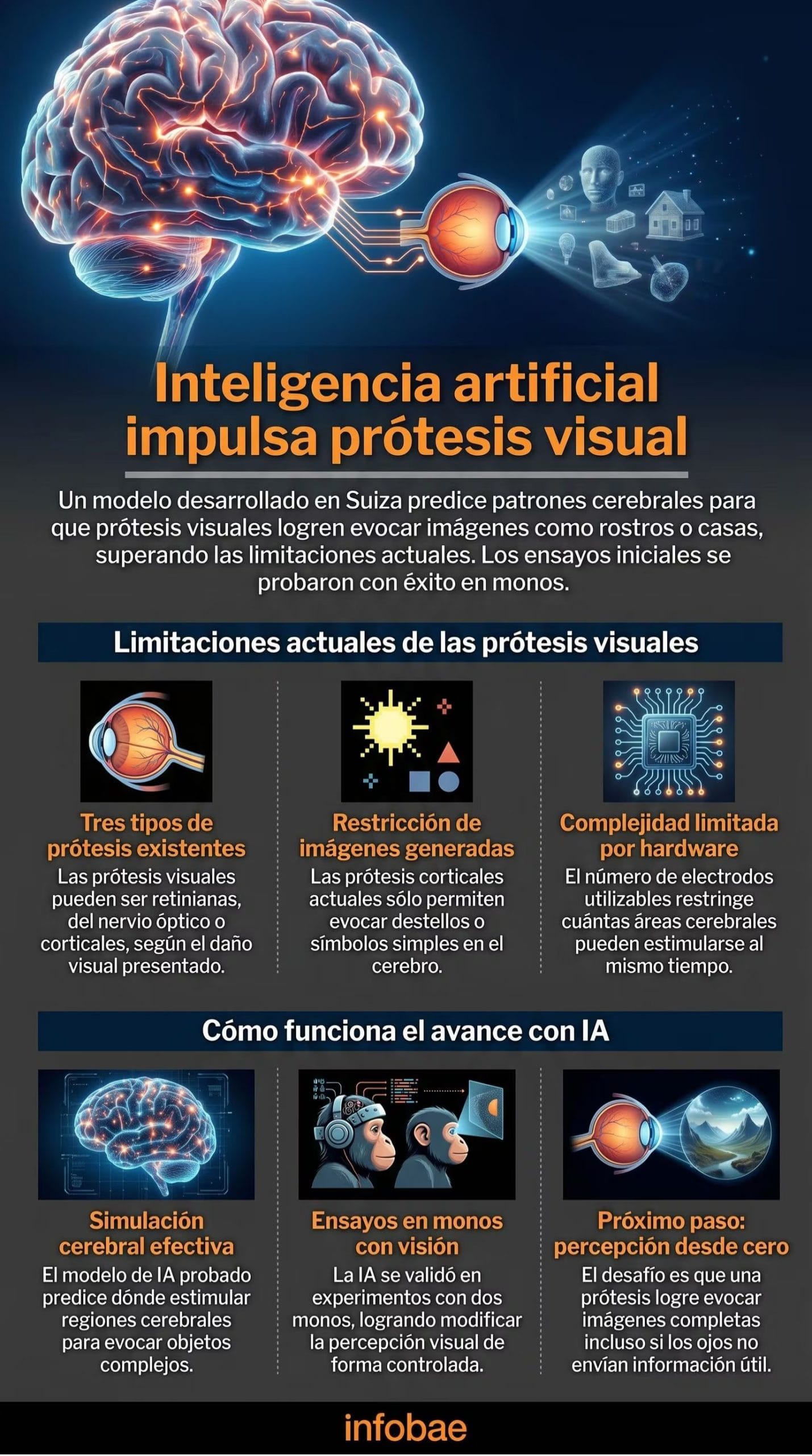 Esta infografía detalla cómo el modelo desarrollado predice patrones cerebrales para que prótesis visuales logren evocar imágenes como rostros o casas, superando las limitaciones actuales (Imagen Ilustrativa Infobae)