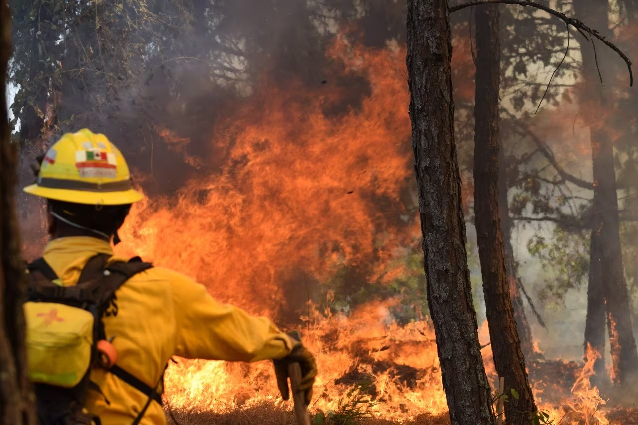Desde la Red Nacional de Manejo del Fuego aseguran que intervenir durante la denominada “hora de oro”, puede evitar que el incendio se expanda (Infobae)