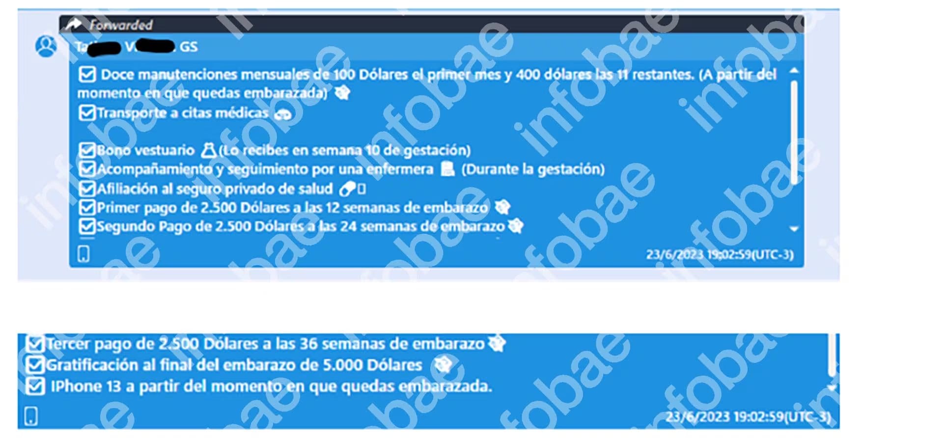 Captura de pantalla muestra una lista detallada de beneficios por embarazo, incluyendo asistencia monetaria, servicios y la entrega de un iPhone 13.