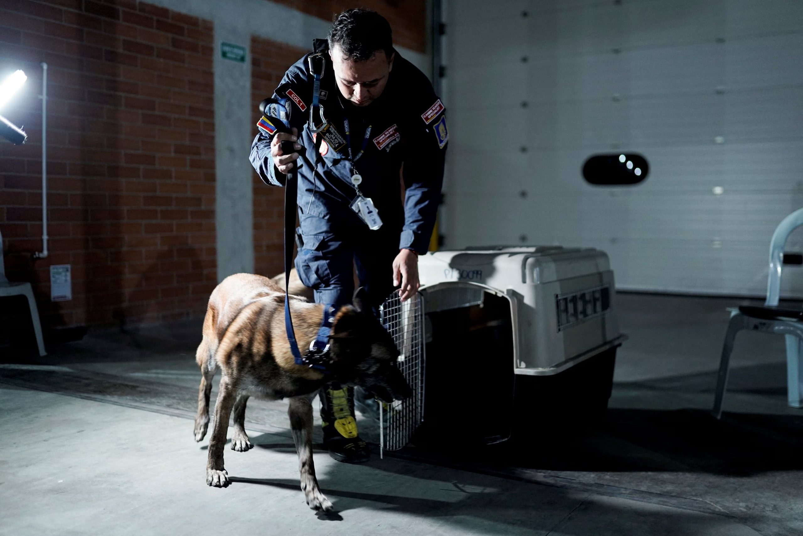 Un miembro de USAR COLOMBIA (Búsqueda y Rescate Urbano) guía a un perro de búsqueda mientras las autoridades colombianas se preparan para las operaciones de búsqueda y rescate en Venezuela tras los terremotos que han sacudido el país, en Bogotá, Colombia, el 25 de junio de 2026 (REUTERS/Sergio Acero)