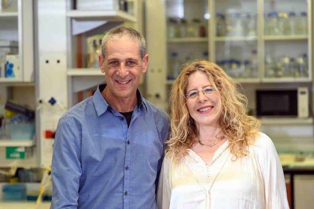 Pista magnética une quiralidad e isótopos en el origen de la vida