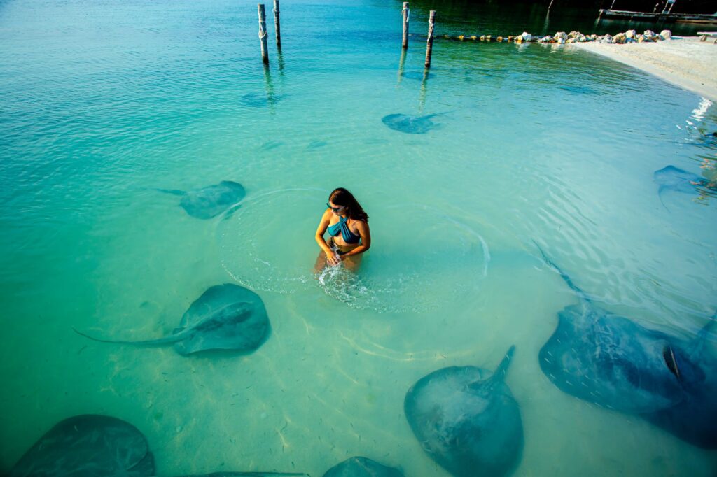 Tiburones nodriza, ceviche y langosta: Caye Caulker, el secreto de Belice