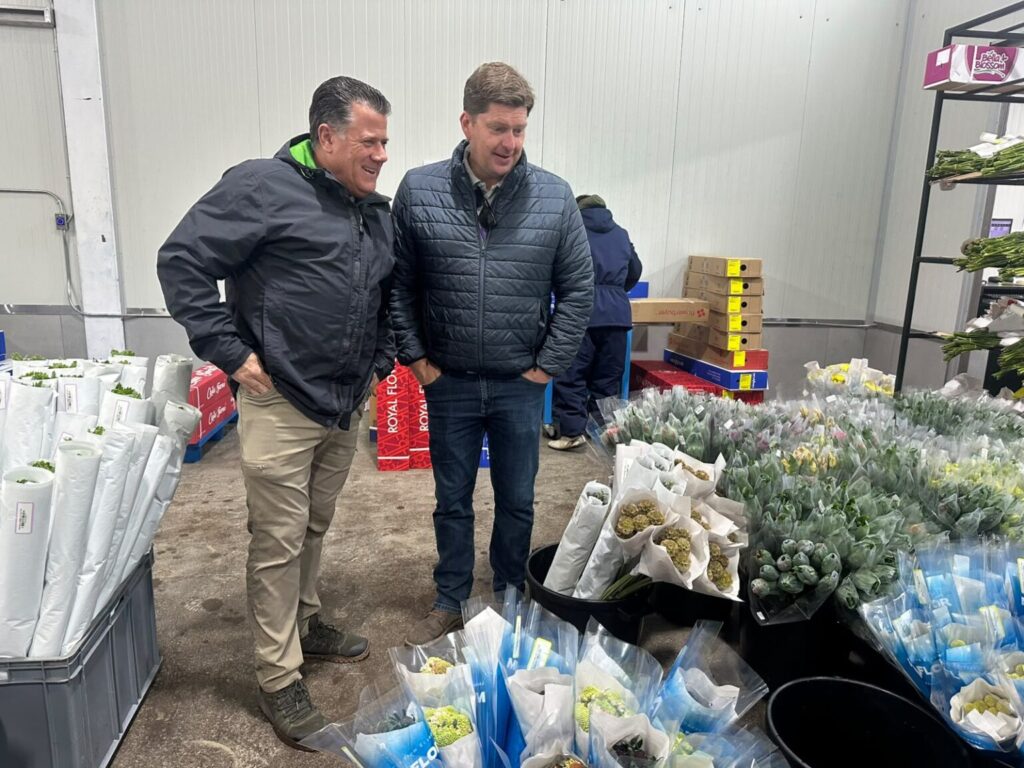 Flores tungurahuenses conquistan mercados internacionales con calidad certificada