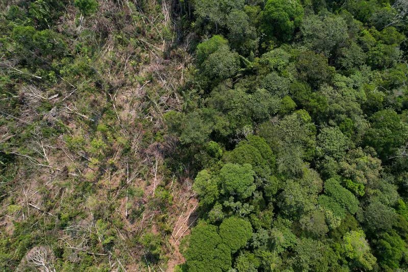 Amazonía emite más metano del estimado: alerta climática