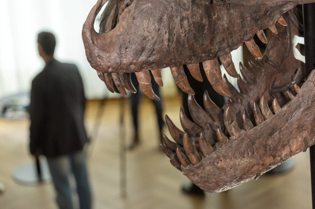 Crías de Tiranosaurio Rex: el tamaño inesperado al nacer que sorprende
