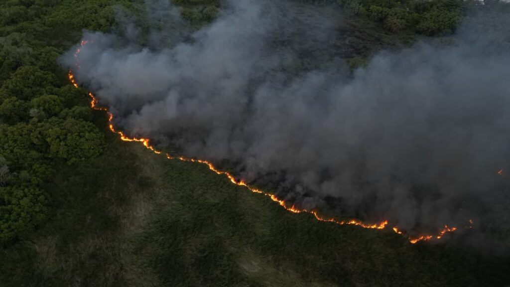 Incendio forestal afecta área de vegetación en la Laguna Mallén de San Pedro de Macorís