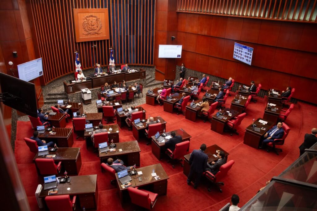 Senado avanza con reforma policial tras aprobar proyecto en segunda lectura