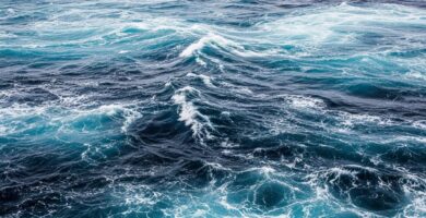 Descubren la causa de la segunda mayor extinción oceánica de hace 113 millones de años