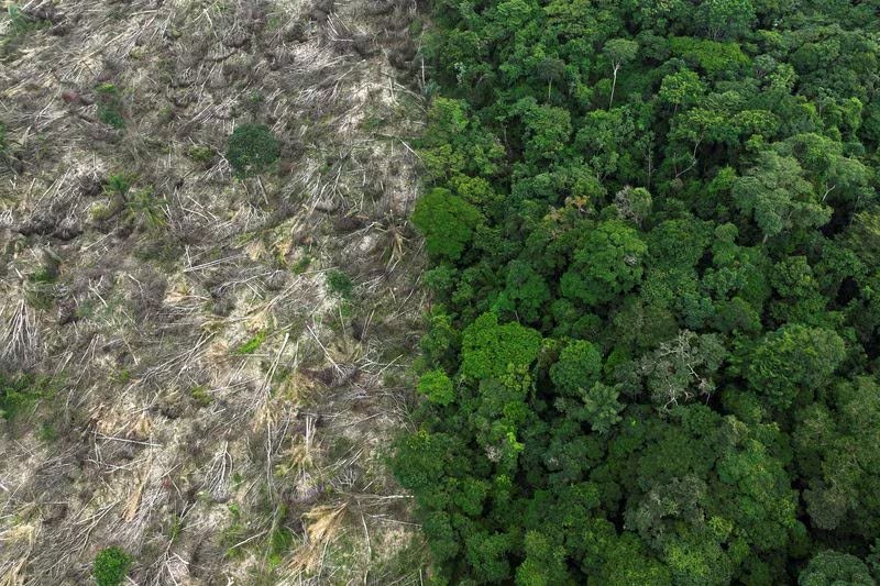 El estudio sobre la Amazonía fue publicado en Geophysical Research Letters y se basó en vuelos de baja altitud /REUTERS/Ueslei Marcelino