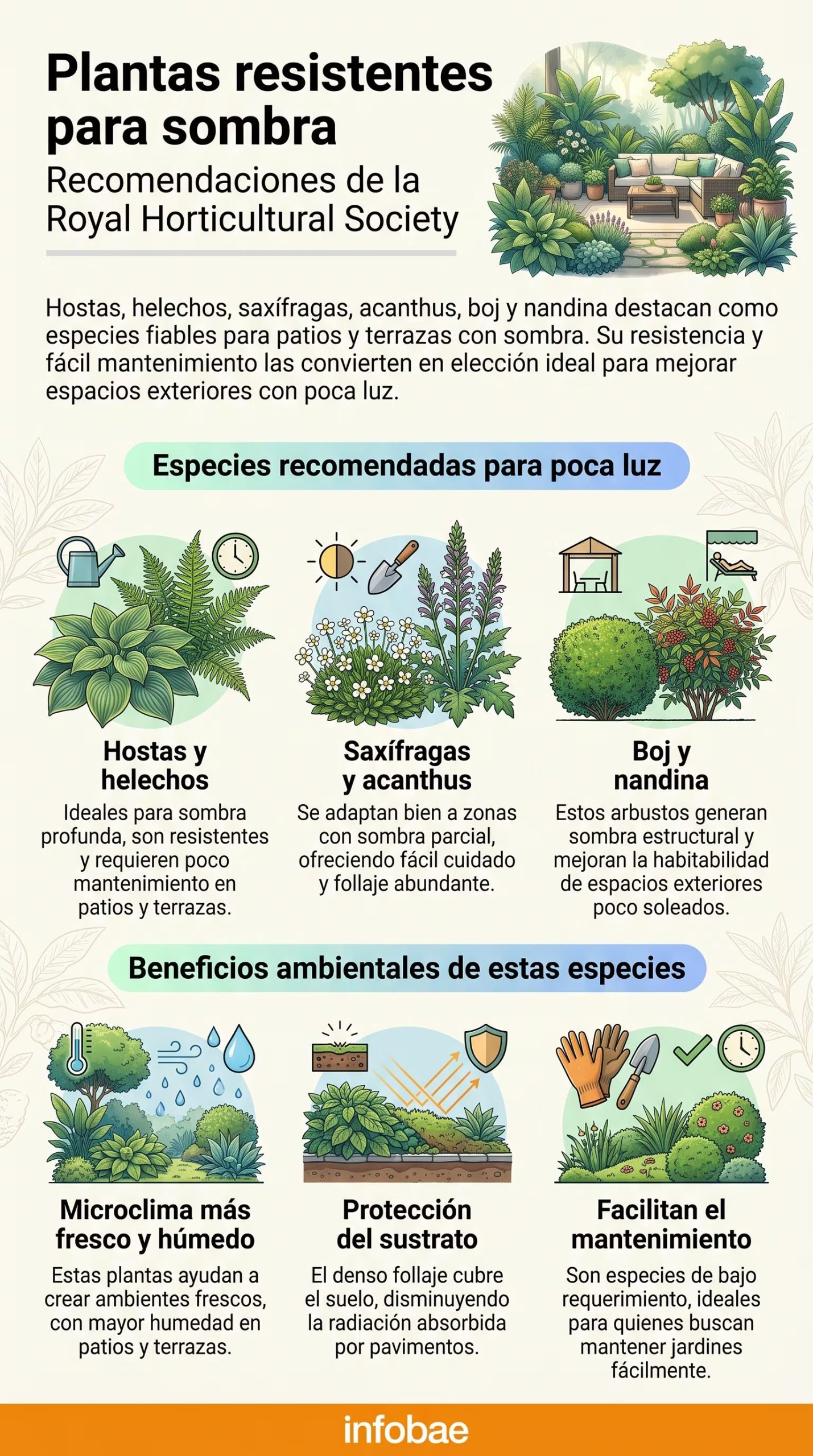Plantas resistentes para sombra: recomendaciones de la Royal Horticultural Society. (Imagen Ilustrativa Infobae)