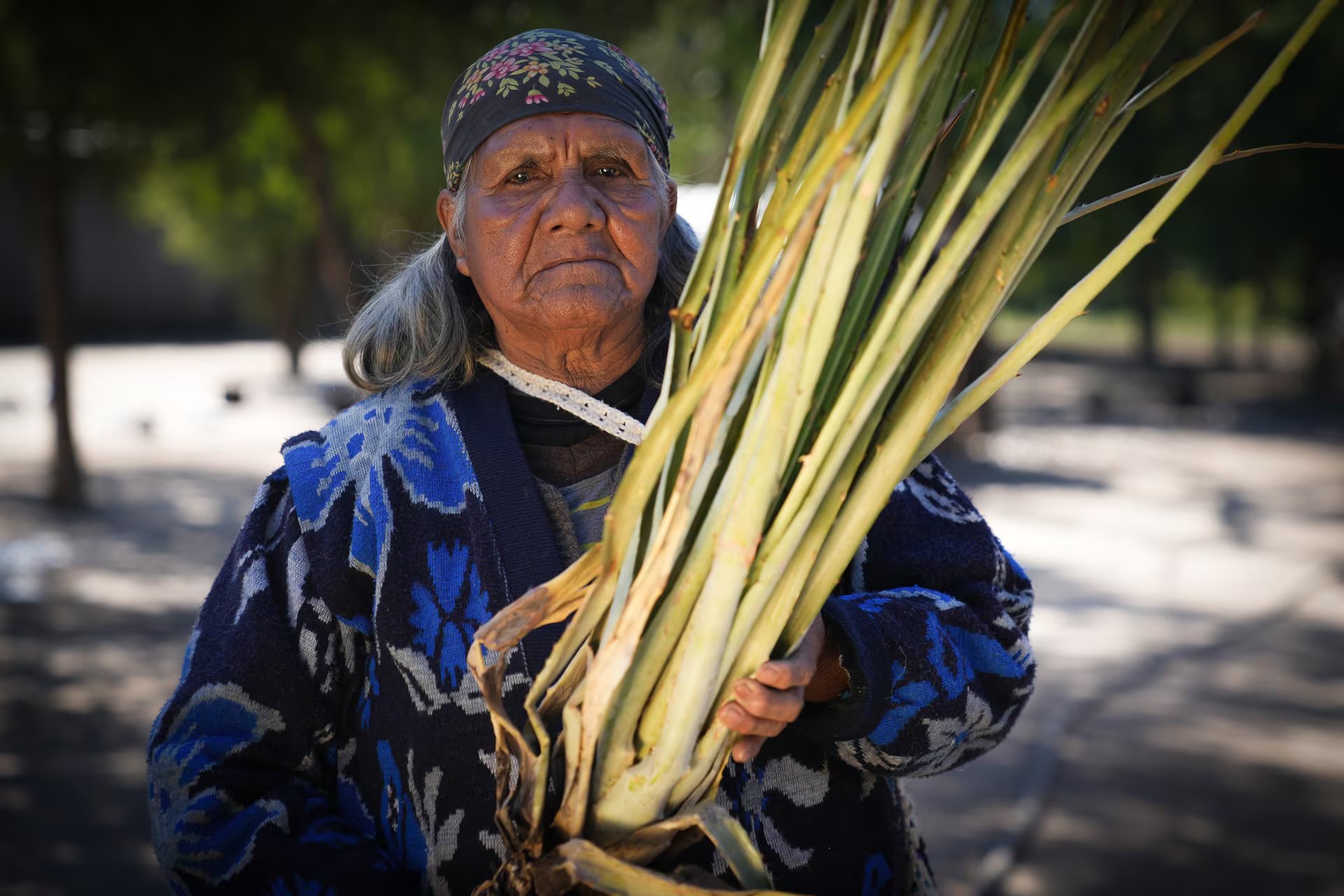 La cacica wichí Jorgelina, líder de la comunidad wichí en Tartagal, posa con su amado chaguar que hoy escasea por el impacto del cambio climático. Puro saber ancestral