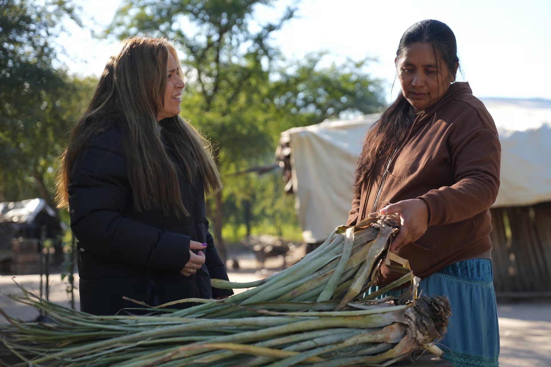 Luisa, madre, artesana del chaguar y líder wichí, acaricia su gran recurso: la planta de chaguar. La escasez de chaguar, la degradación del monte salteño, la escasez de agua y la presión sobre los recursos naturales obligan a repensar sus trabajos. Es imprescindible no perder un saber ancestral hacia las nuevas generaciones
