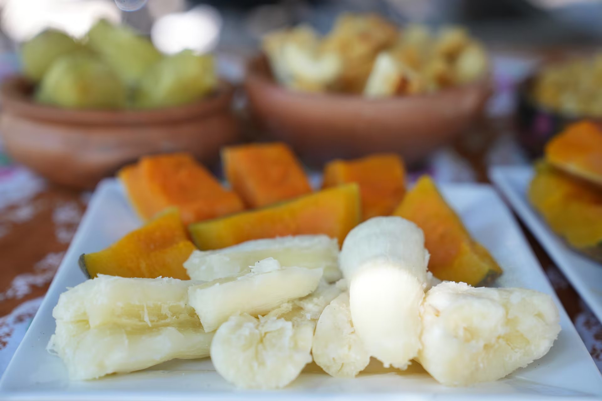 Papas y zapallos orgánicos cultivados en Yariguarenda