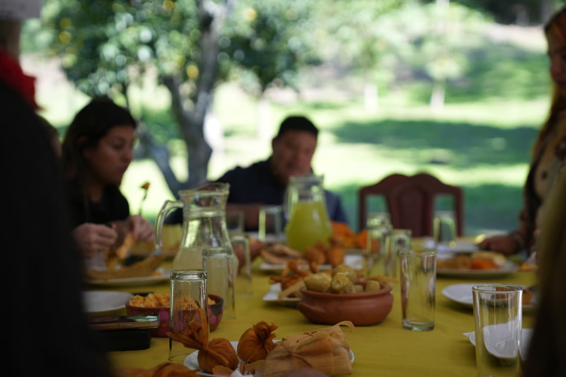 Todo lo que la comunidad guaraní en Yariguarenda sirve en sus mesas es producido de manera orgánica en sus tierras: choclos, zapallos, limones y otros, convierte a la finca en una referencia de agroturismo liderada por una mujer guaraní y su familia. La apicultura orgánica, la más rica y sana