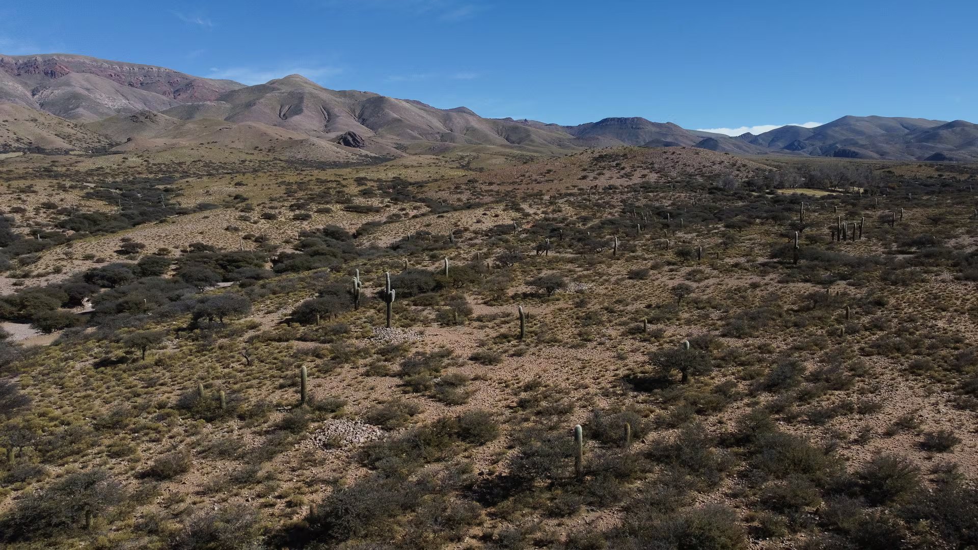 La puna salteña en altura, inmensa, hermosa y con opciones para enfrentar el impacto del cambio climático de la comunidad kolla : variabilidad del clima y crisis del agua