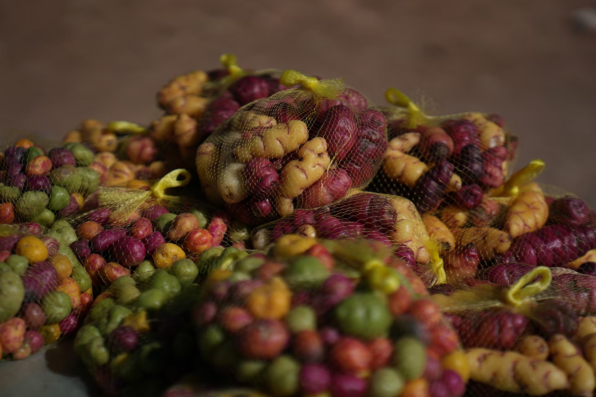 Bolsas de papines y ocas deliciosos y coloridos que las mujeres kollas llevarán para vender al mercado comunitario de Finca Santiago