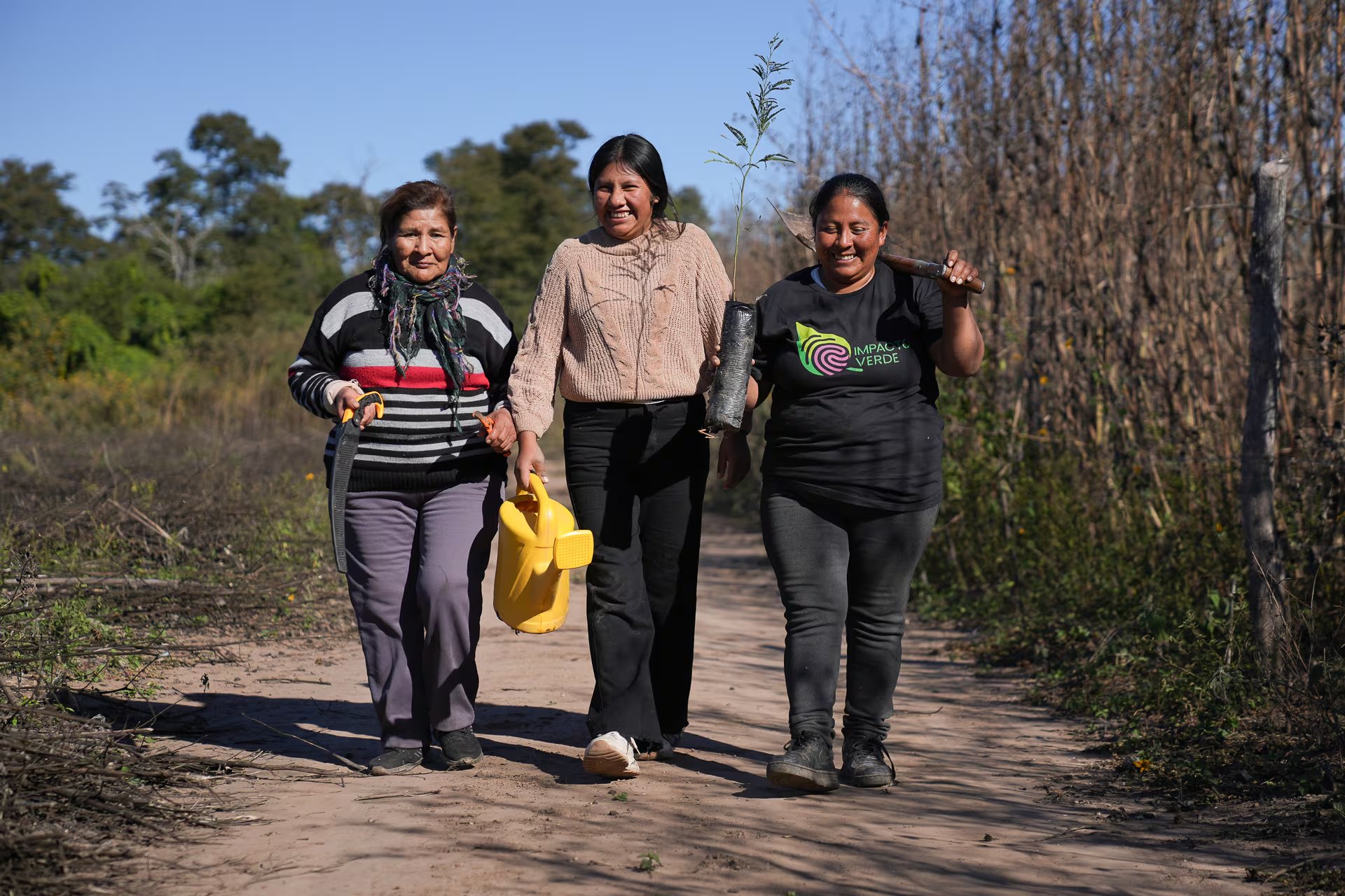 El riego de plantines de algarrobo en Vinalito es una tarea fundamental para asegurar su desarrollo inicial