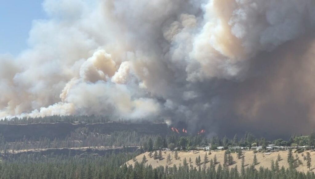 Emergencia en Washington: 600 estructuras destruidas y 60.000 evacuados por incendios