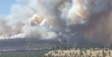 Emergencia en Washington: 600 estructuras destruidas y 60.000 evacuados por incendios