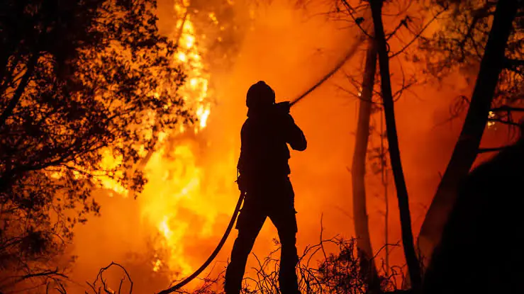 Arrestan a hombre acusado de provocar devastador incendio forestal en Washington